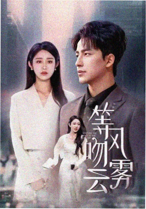 免费高清电视剧 迷雾追踪